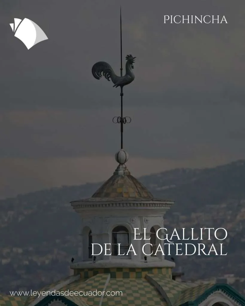 El gallito de la Catedral