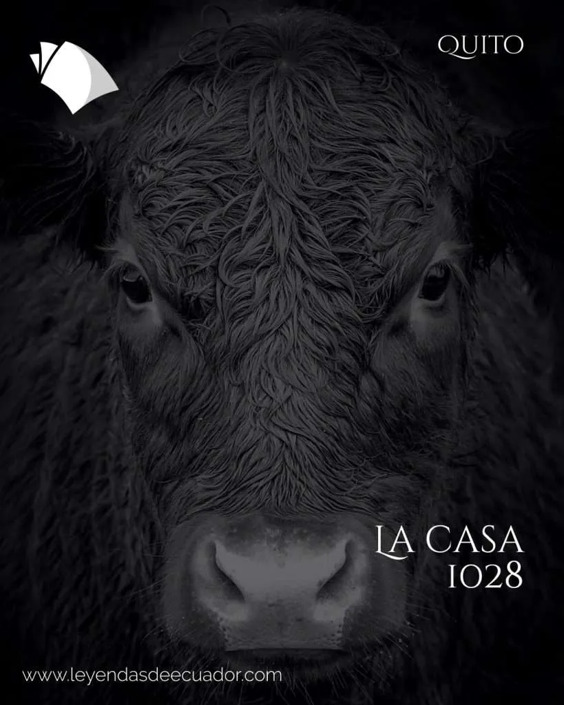 La casa 1028