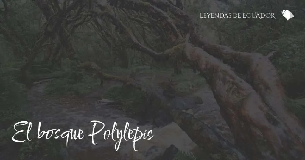 El bosque Polylepis