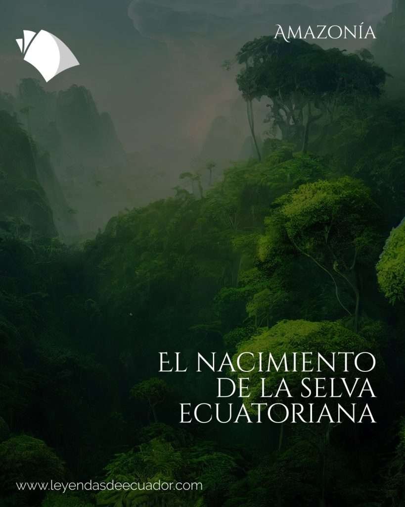 El nacimiento de la selva ecuatoriana
