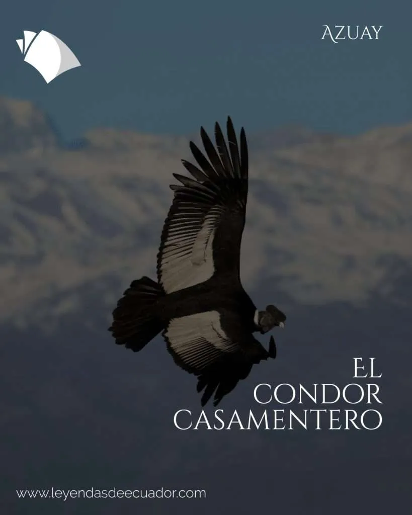 El cóndor casamentero