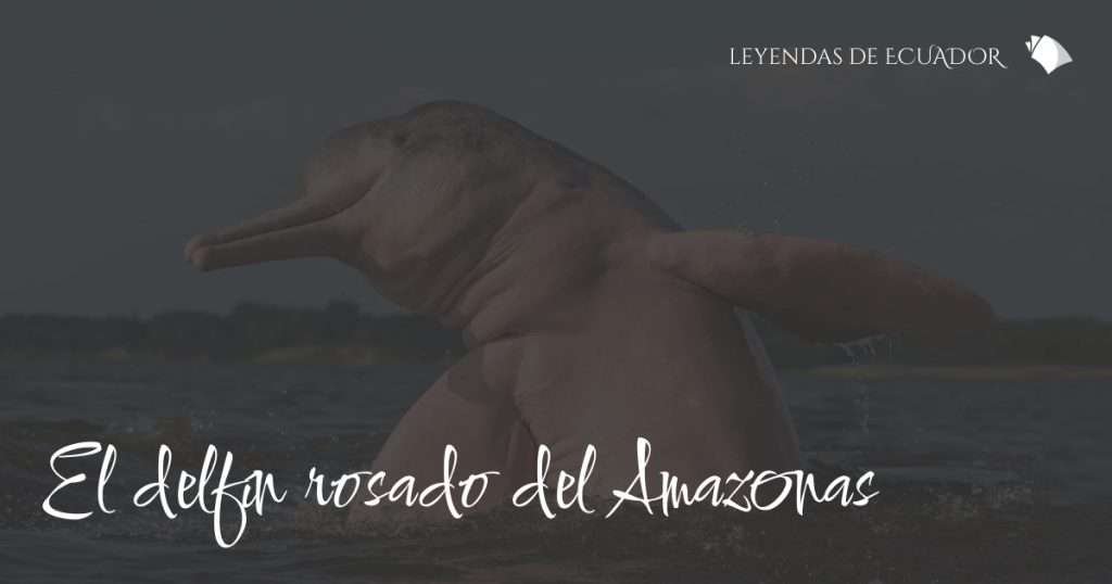 El delfín rosado del Amazonas