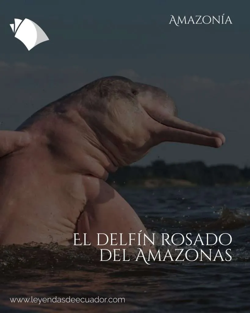 El delfín rosado del Amazonas