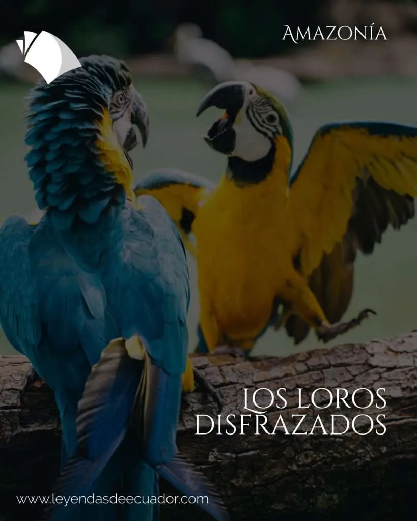Los loros disfrazados