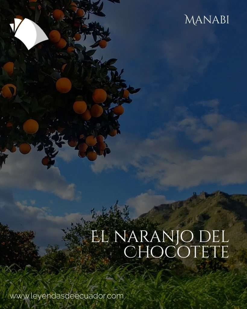 El naranjo del Chocotete