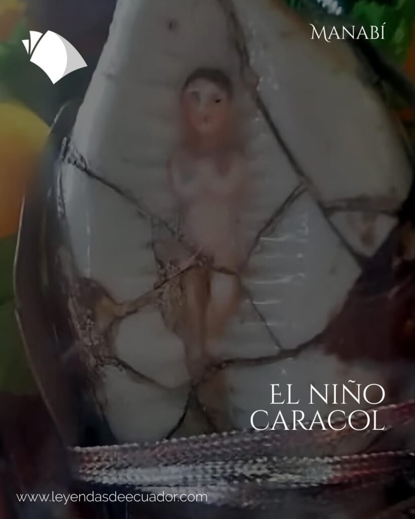 El niño caracol