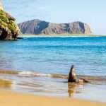 Leyendas de Galápagos
