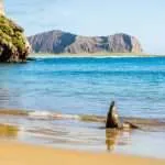 Leyendas de Galápagos