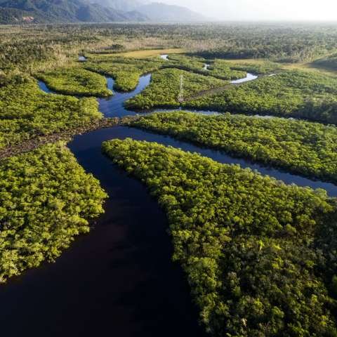 Leyendas de la Amazonía