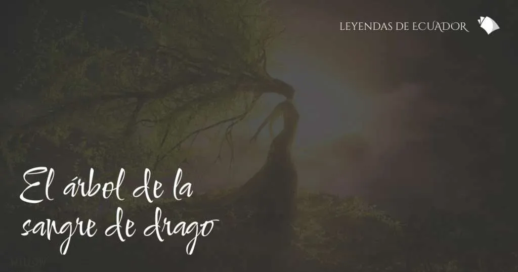 El árbol de la sangre de drago