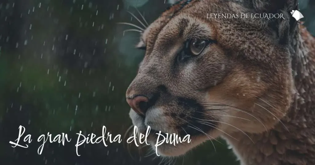 La gran piedra del puma