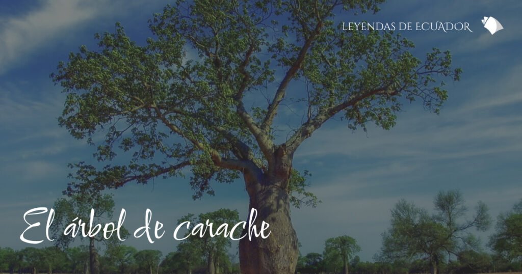 El árbol de carache